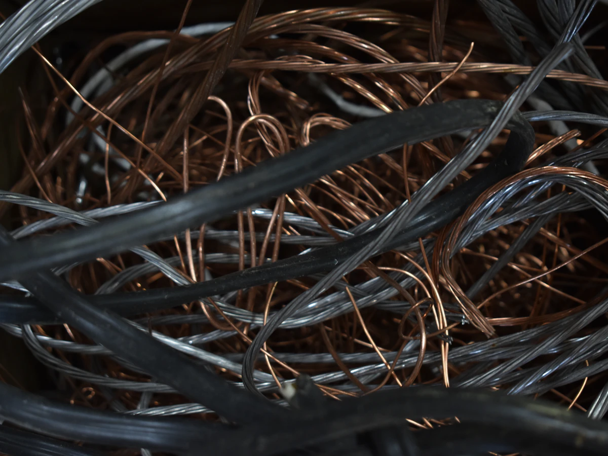 Birch / Cliff Copper &mdash; No. 2